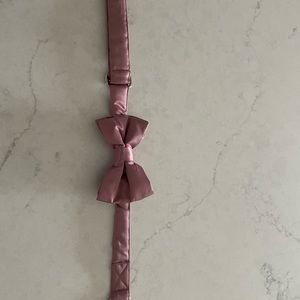 Birdy Grey Dog collar in mauve